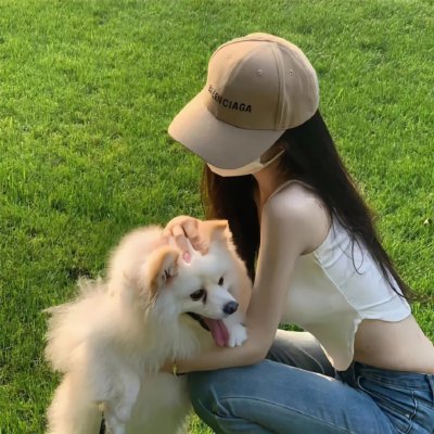 斑马