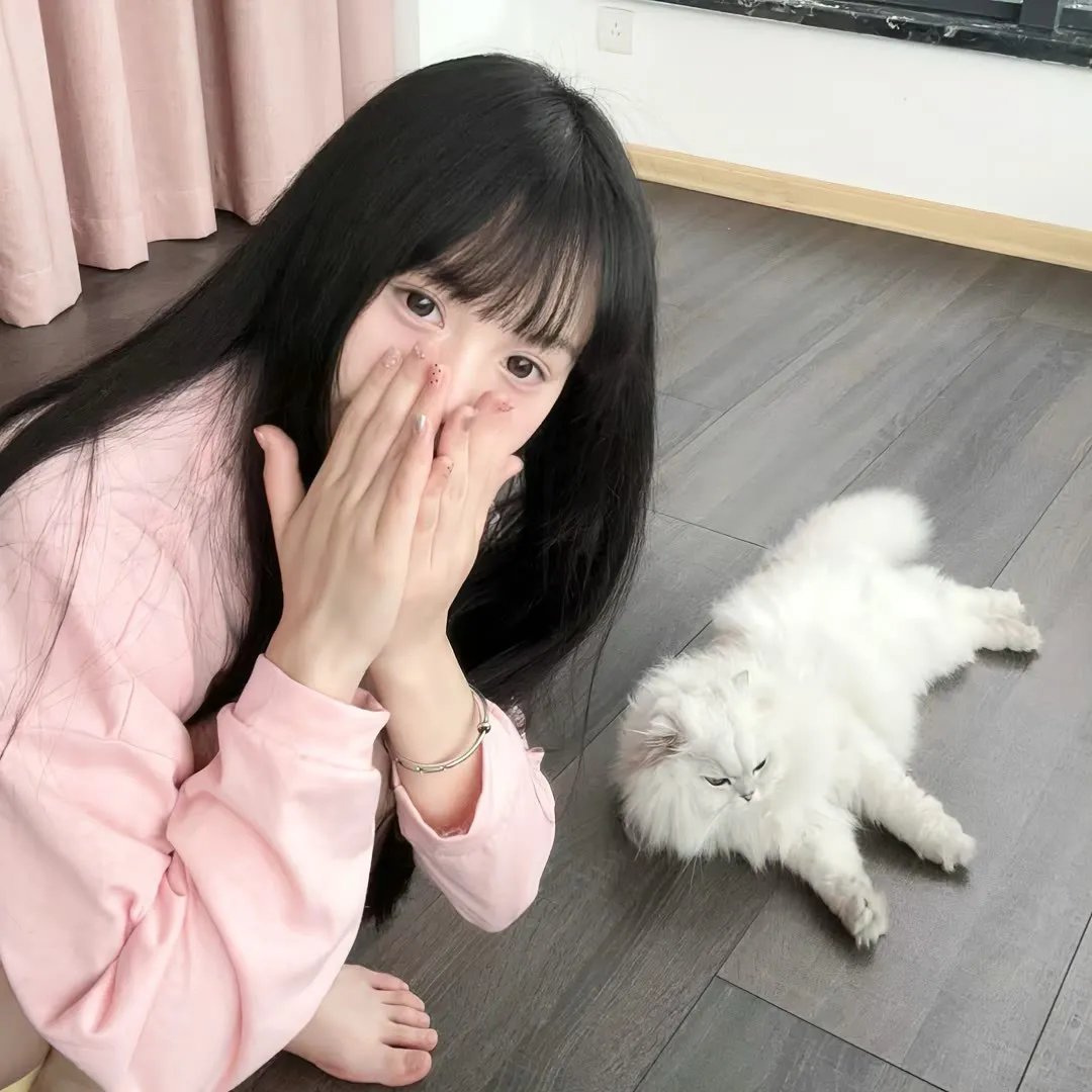 独狼2013